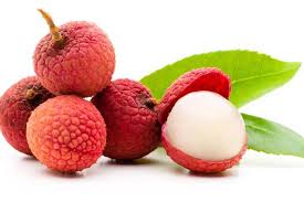 Lychee (Litchi)