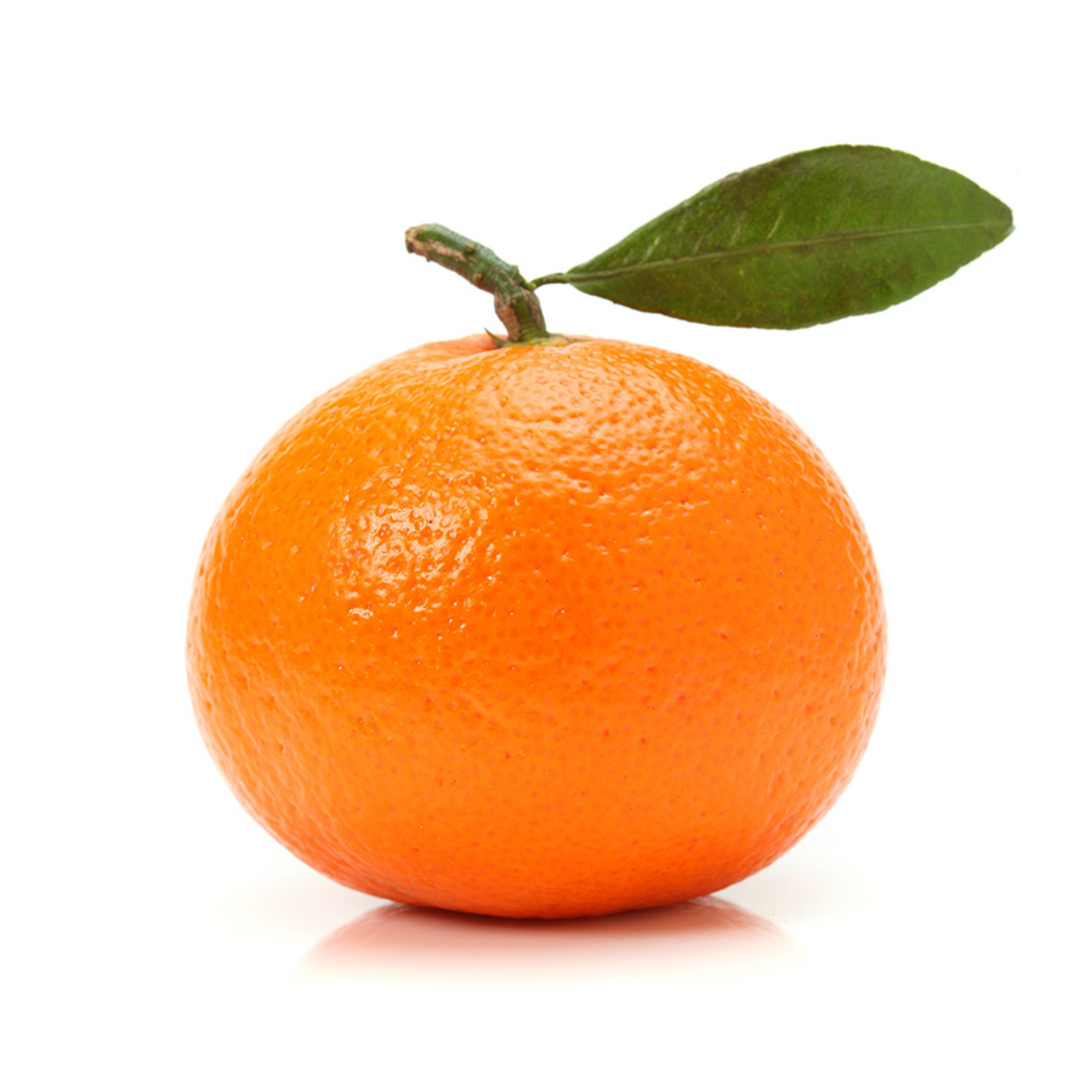 Mandalina