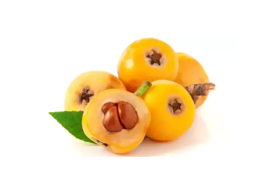 Muşmula
