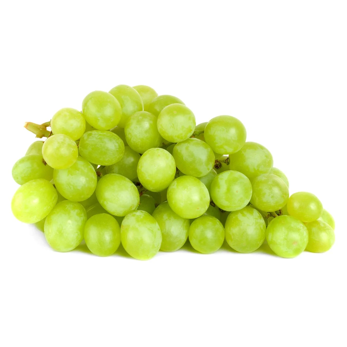 Üzüm